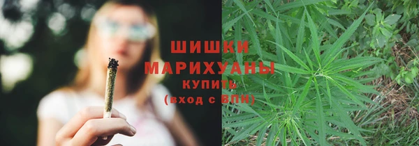 амф Арсеньев