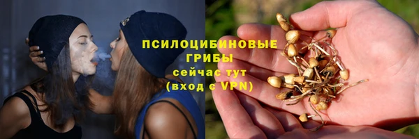 амф Арсеньев