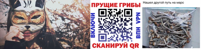 Галлюциногенные грибы MAGIC MUSHROOMS  Пустошка 