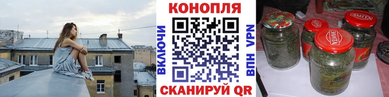Шишки марихуана марихуана купить закладку Пустошка